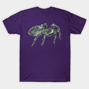 Mexican Redknee Tarantula T-Shirt